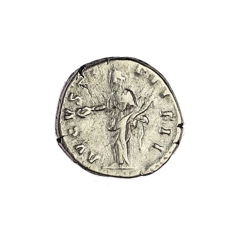 Faustina junior 147-175 