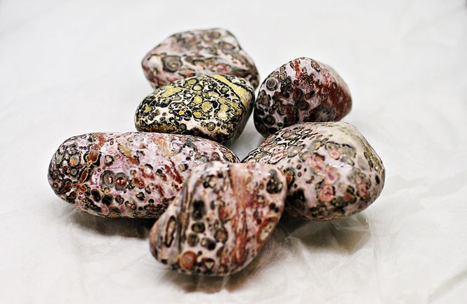 Hovedbilde Leopardskinnsjaspis, store, tromlet