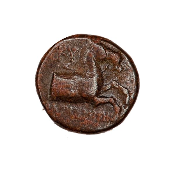 Hovedbilde Hest fra Kyme, 400-300 f.Kr.