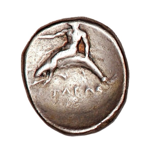 Hovedbilde Tarent, didrakme, år 280-272 f.Kr.