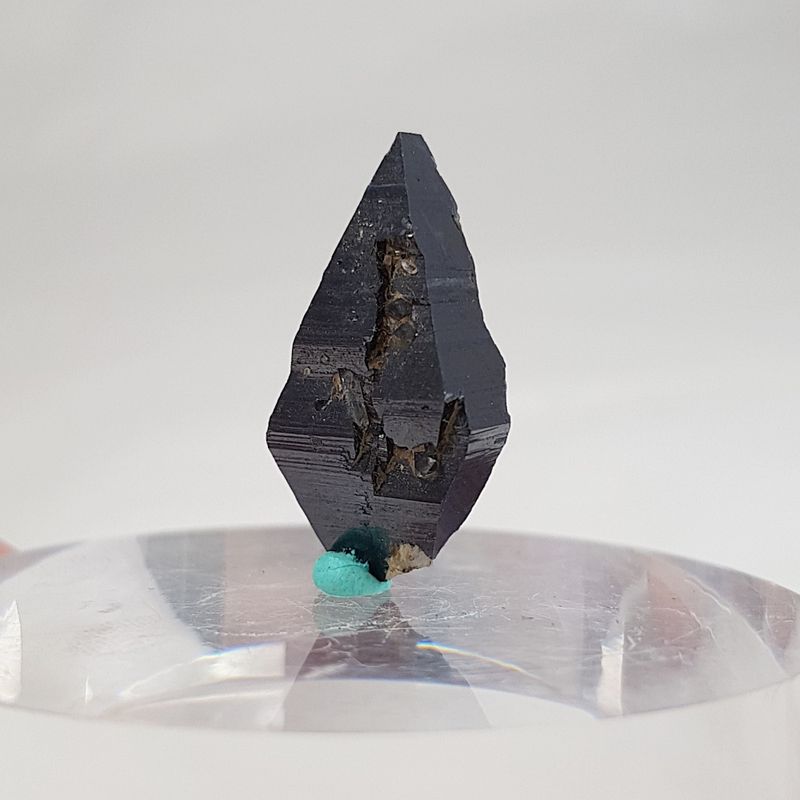 Anataskrystall, Hardangervidda (2,5 cm)