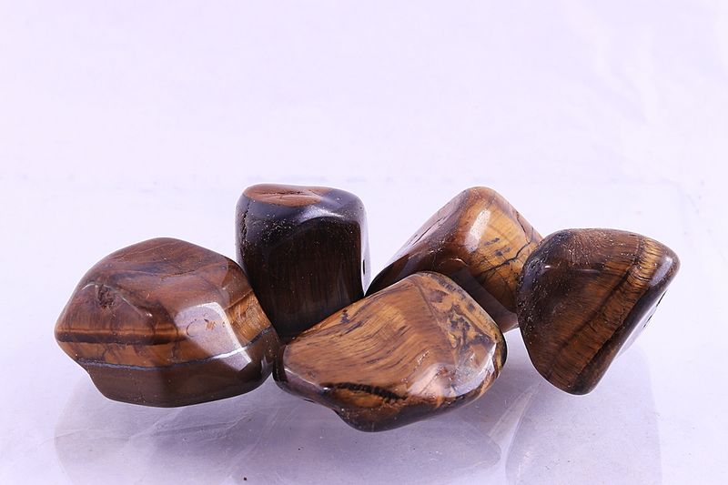 Tigerøye, tromlet, stor (L)