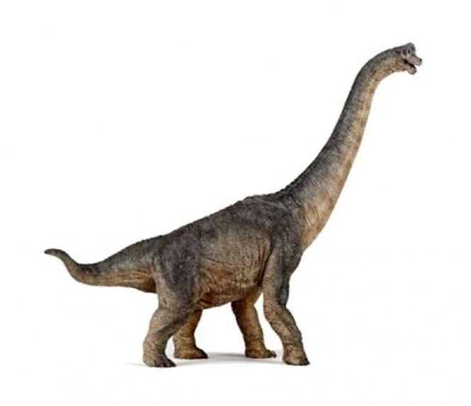 Hovedbilde Brachiosaurus, figur