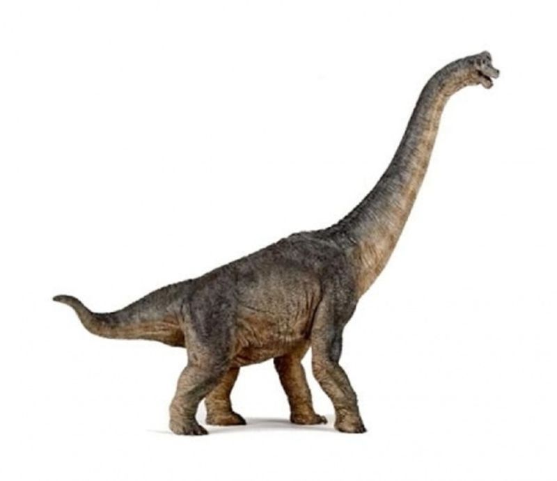 Brachiosaurus, figur