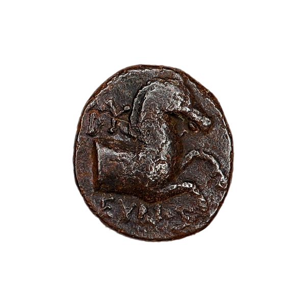 Hovedbilde Hest fra Kyme, 400-300 f.Kr.