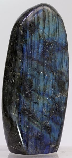 Hovedbilde Labradoritt/spektrolitt, helslipt (labradorite, spectrolite)