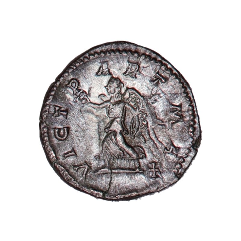 Gladiator, Septimius Severus, denar, 193-211