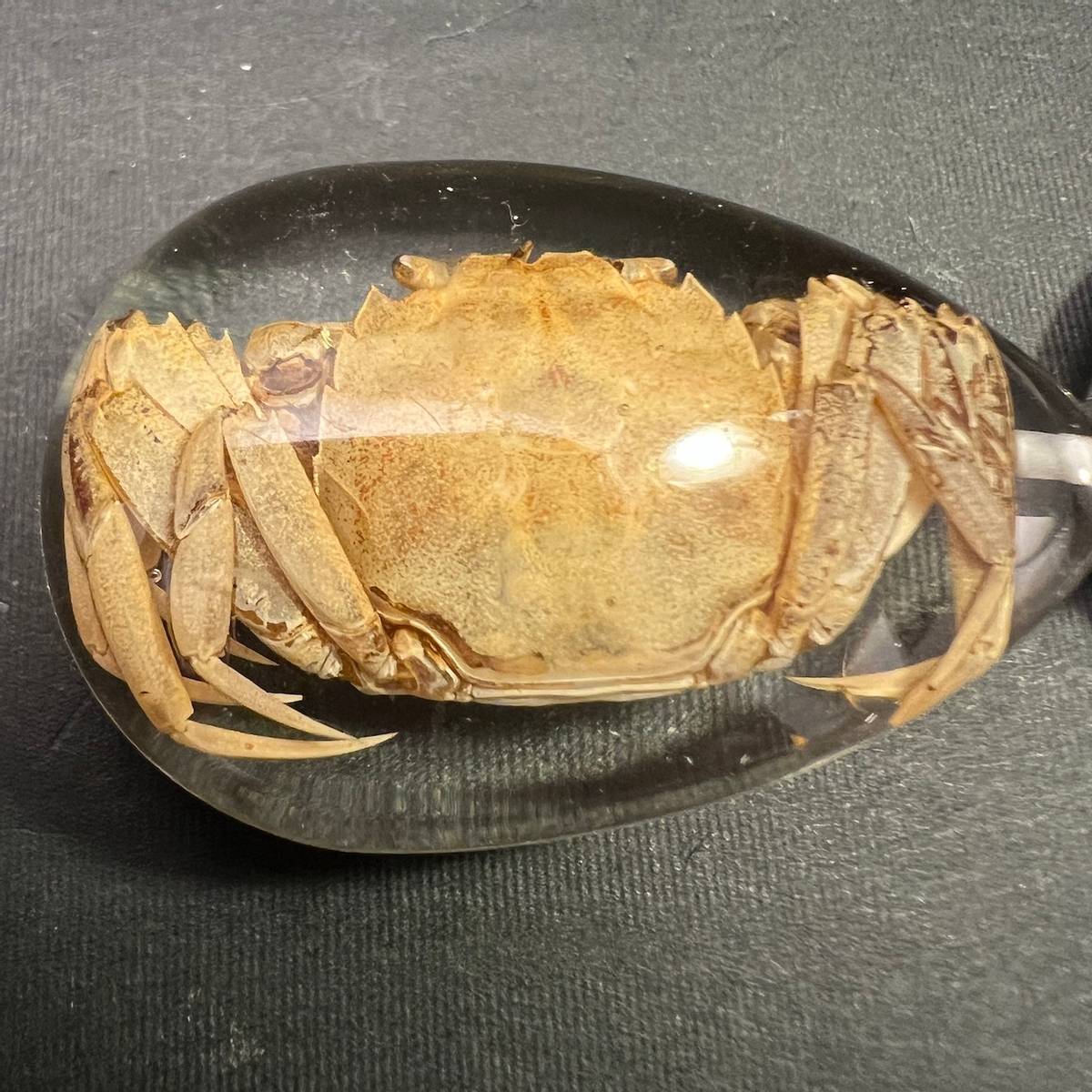 Nøkkelknippe med ekte krabbe