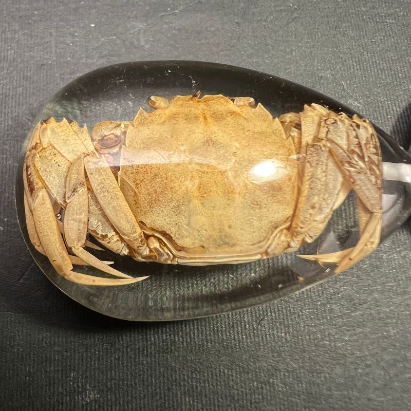 Nøkkelknippe med ekte krabbe