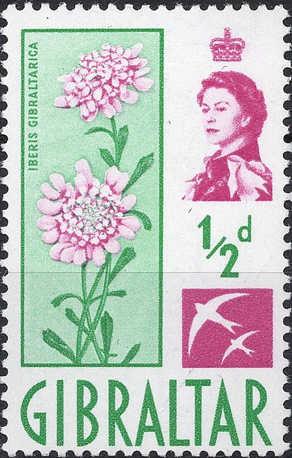 Hovedbilde Blomster og planter, Vest-Europa