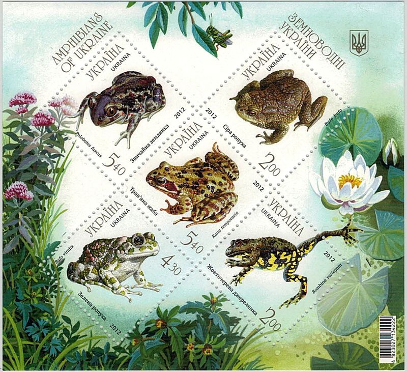 Ukraina, amfibier, 2012