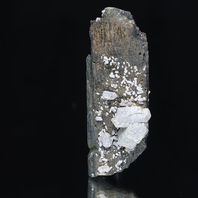 Hovedbilde Hydroksylapatitt med hornblende, Oksøyekollen, Snarum