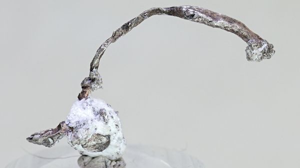 Hovedbilde Trådsølv på kalsitt, Kongsberg