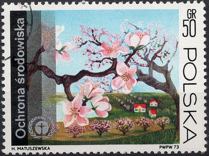 Hovedbilde Blomster og planter, Øst-Europa