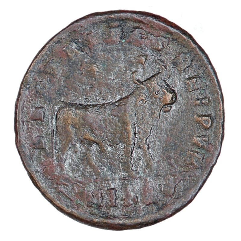 Julian II, okse, år 360-363