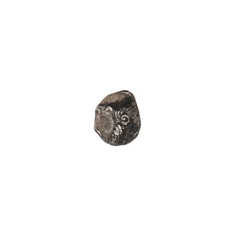 Kyzikos, halv obol, 450-400 f.Kr.