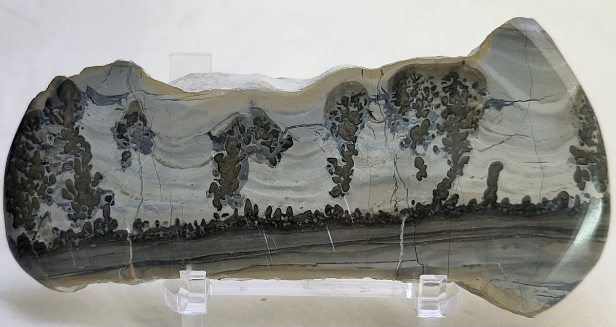 Cotham Marble, landskapsmarmor
