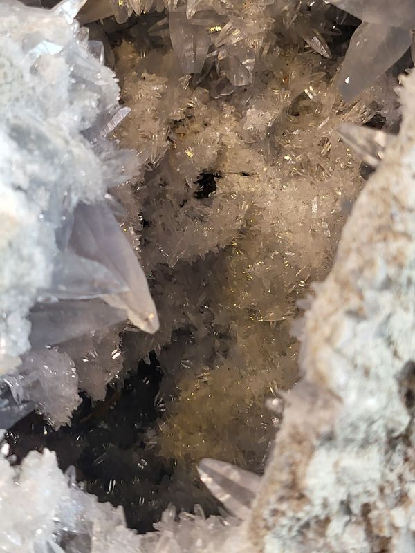 Gigantisk og praktfull cølestingeode, Madagaskar