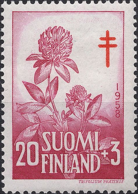 Hovedbilde Blomster og planter, Vest-Europa