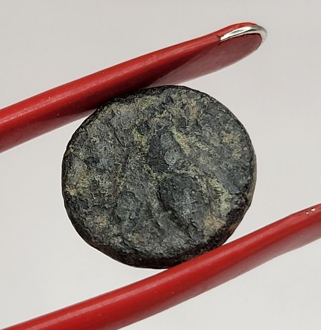 Hovedbilde Bie fra Efesos, chalkos, 280-258 f.Kr.