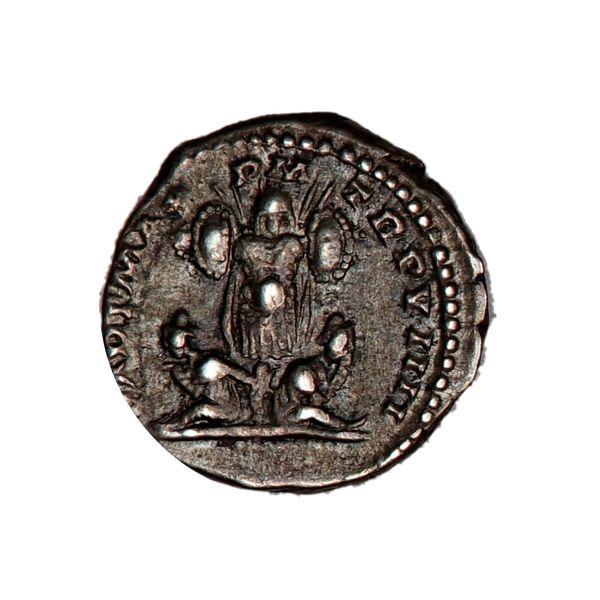 Hovedbilde Septimius Severus, denar, 193-211