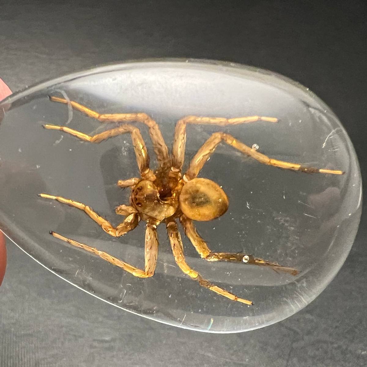 Nøkkelknippe med ekte kinesisk edderkopp