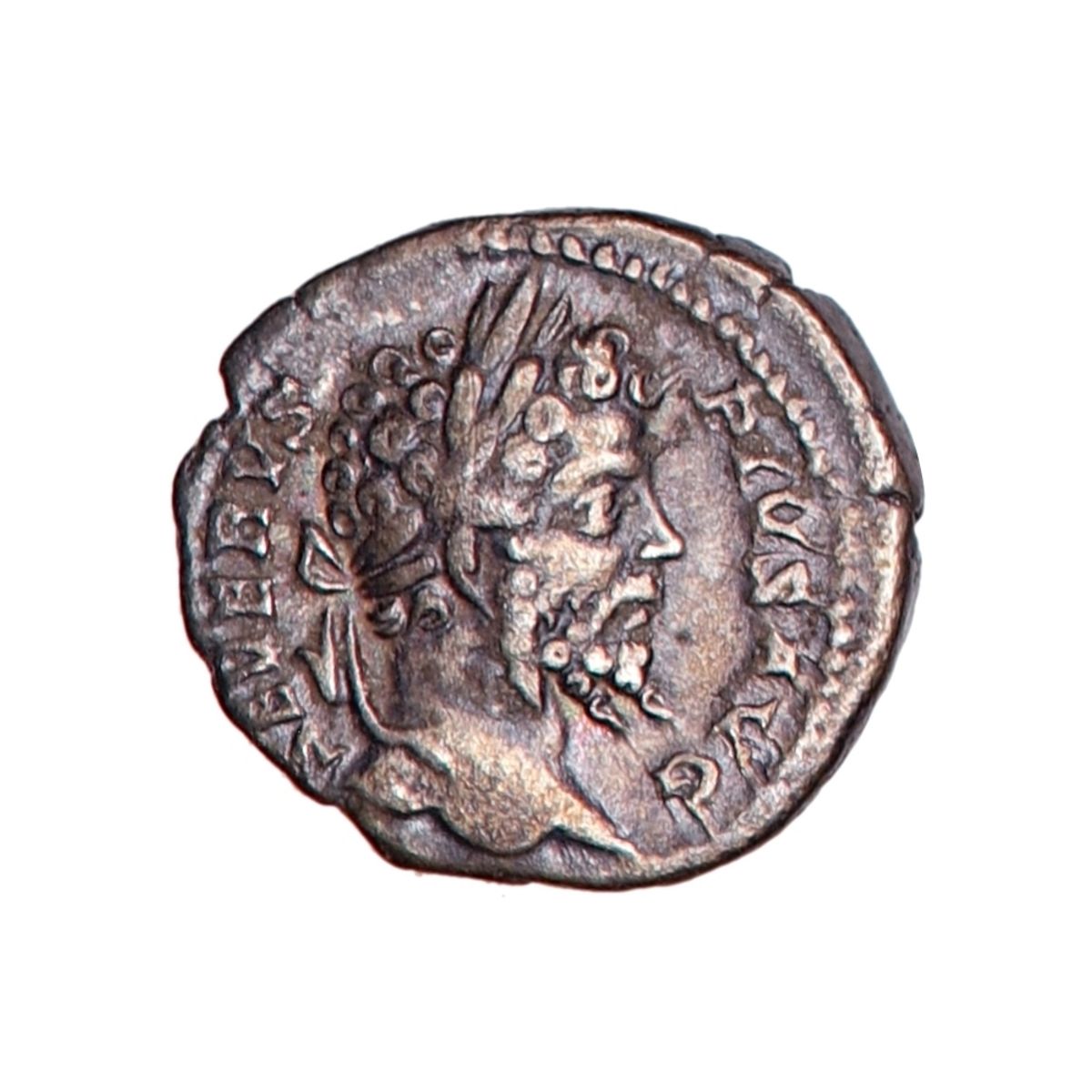 Septimius Severus, denar, 193-211