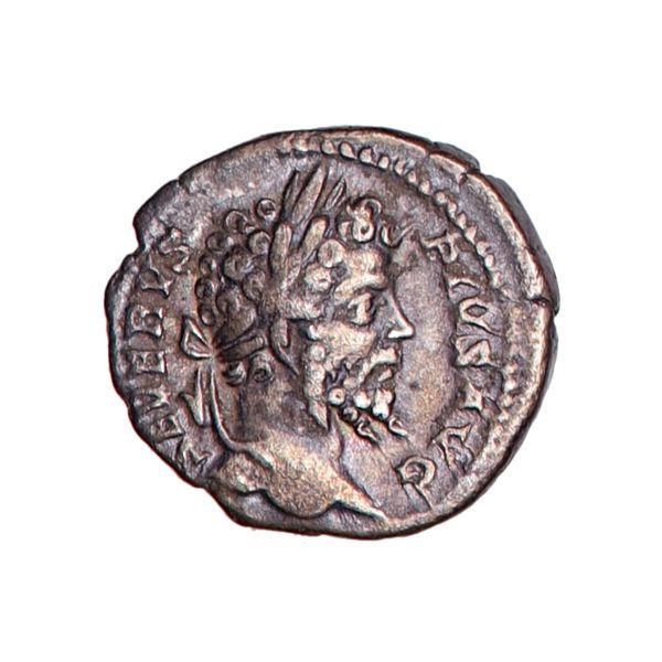 Hovedbilde Septimius Severus, denar, 193-211