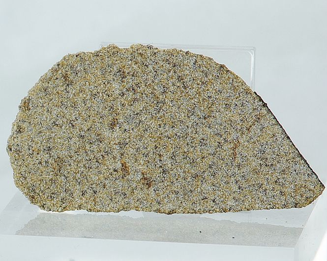 Hovedbilde Agoult (eukritt), fra asteroiden Vesta, 8,58 gram. Sjelden type!