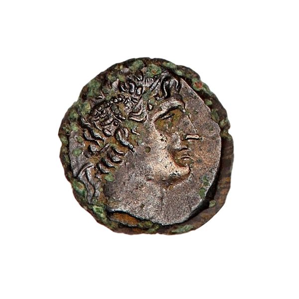 Hovedbilde Bithynia Prusias II Chalkos 185-149 f.Kr.