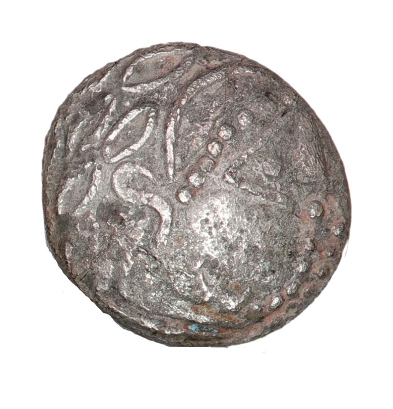 Snabelhest, Costoboci, år 200-100 f.Kr.