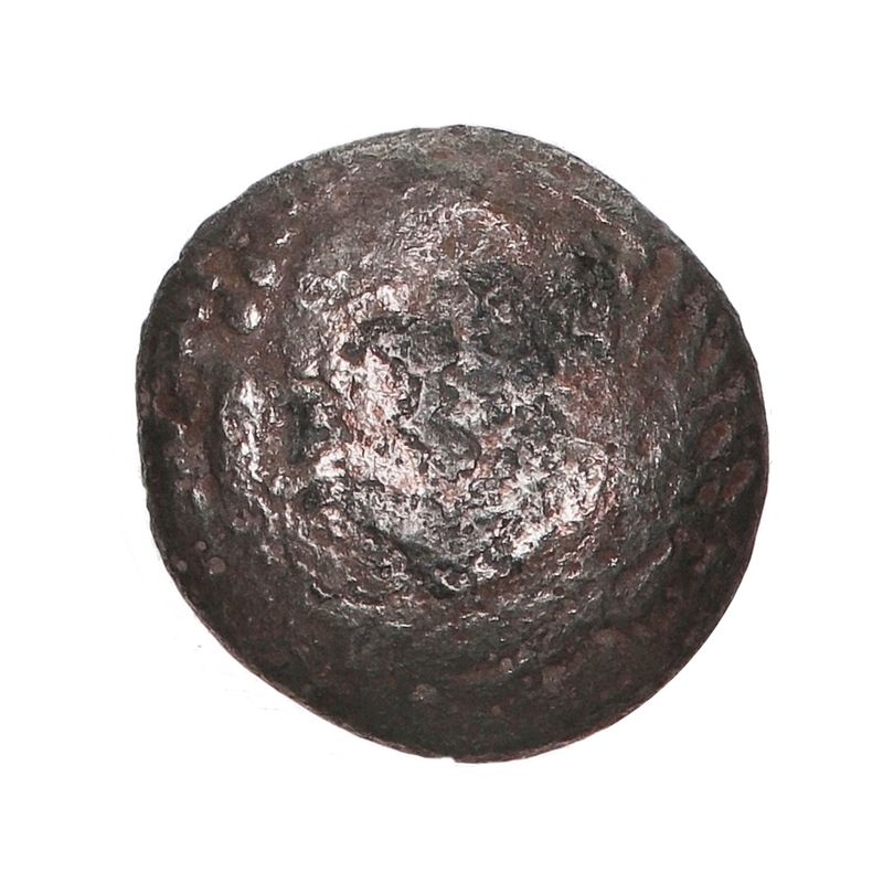 Snabelhest, Costoboci, år 200-100 f.Kr.