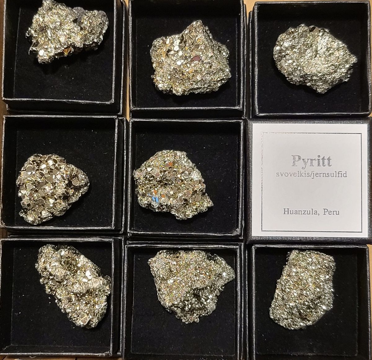 Pyritt, med eske, Peru