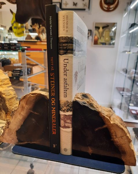 Hovedbilde Bokstøtter av fossilt tre, Indonesia