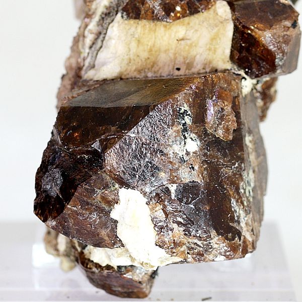 Hovedbilde Zirkonkrystallgruppe, Seiland, Finnmark