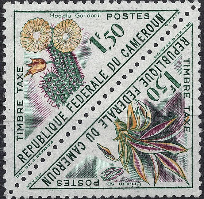 Hovedbilde Blomster og planter, Afrika