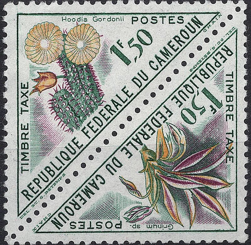 Blomster og planter, Afrika