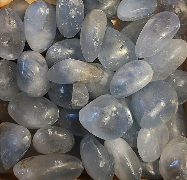 Hovedbilde Cølestin, tromlet