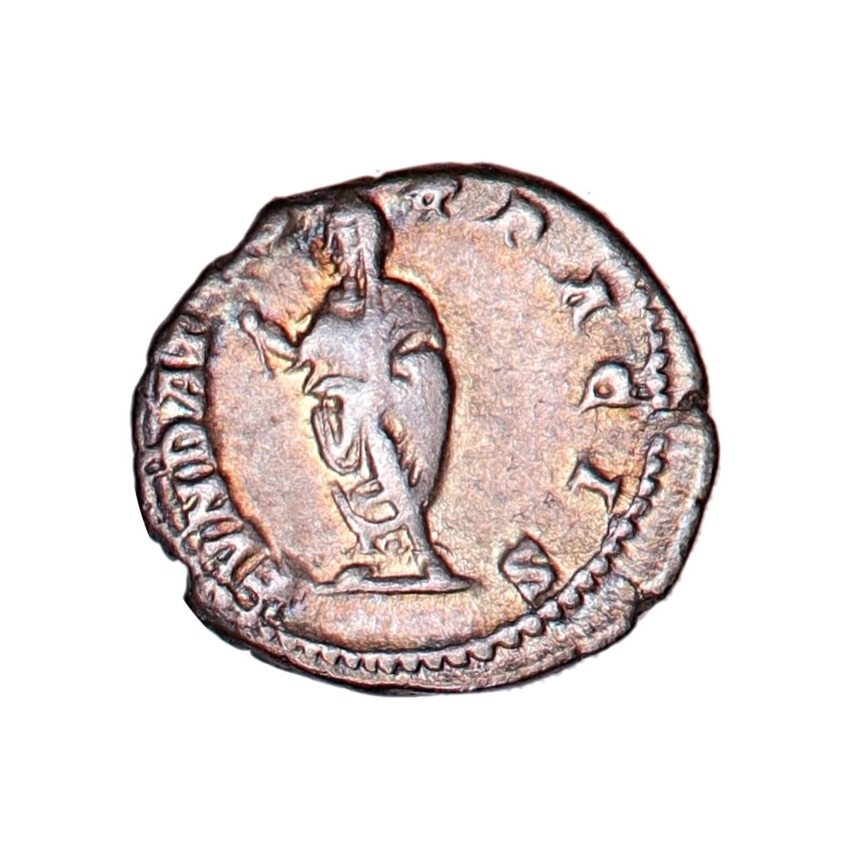 Septimius Severus, denar, 193-211