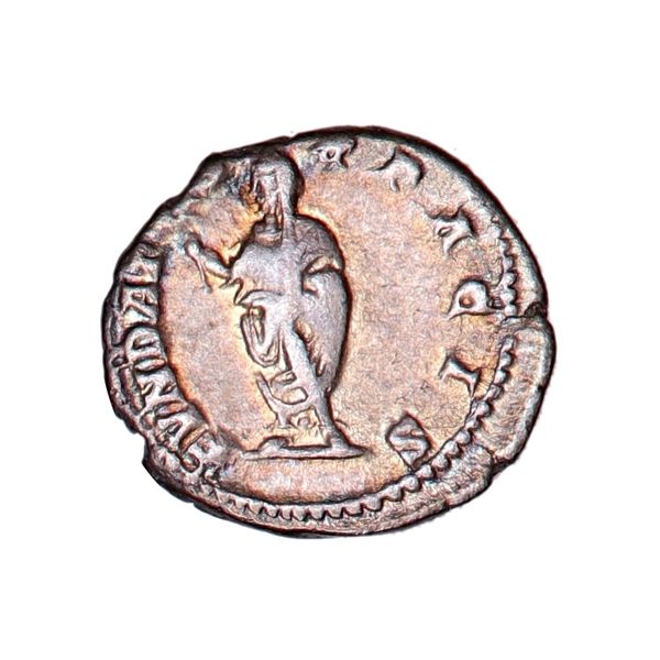 Hovedbilde Septimius Severus, denar, 193-211