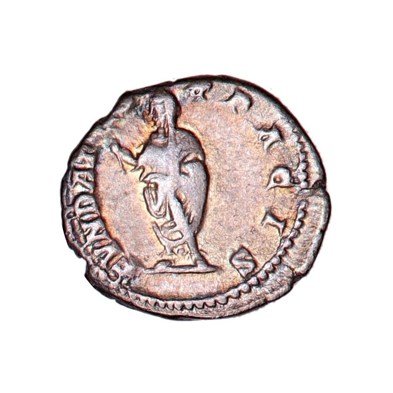 Septimius Severus, denar, 193-211