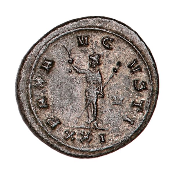 Hovedbilde Probus, antoninian, år 276-282
