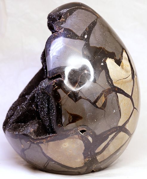 Hovedbilde Septarian (