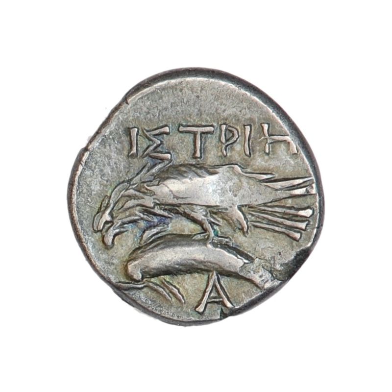 Istros, drakme,  340-313 f.Kr, tvillingene