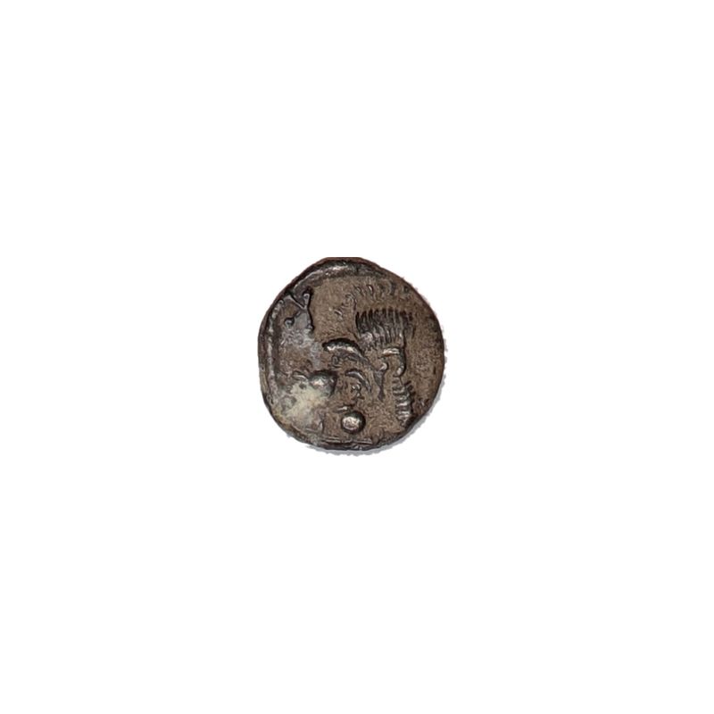 Kyzikos, halv obol, 450-400 f.Kr.